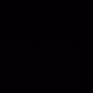 Meet your Posher, Bella